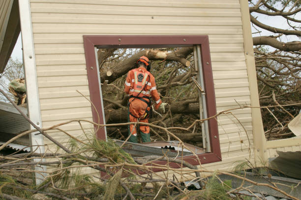 Best Arborist Consultation Services  in Gold River, CA